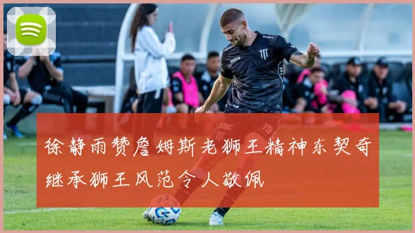 徐静雨赞詹姆斯老狮王精神东契奇继承狮王风范令人敬佩