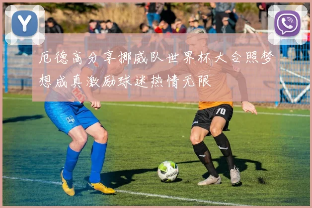 厄德高分享挪威队世界杯大合照梦想成真激励球迷热情无限