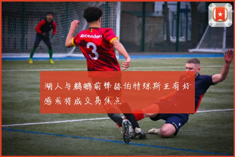 湖人与鹈鹕前锋赫伯特琼斯互有好感或将成交易焦点