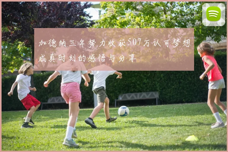 加德纳三年努力收获507万认可梦想成真时刻的感悟与分享