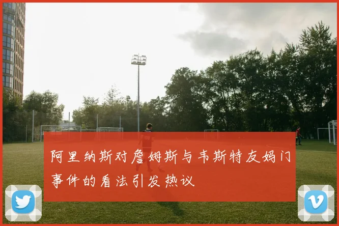 阿里纳斯对詹姆斯与韦斯特友妈门事件的看法引发热议