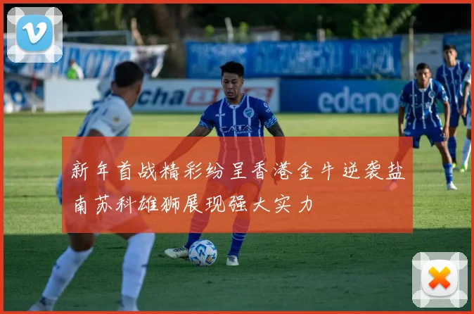 新年首战精彩纷呈香港金牛逆袭盐南苏科雄狮展现强大实力
